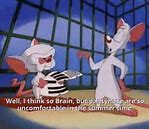 Image result for Pinky and the Brain Pondering Quotes