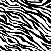 Image result for Zebra Stationary Printer