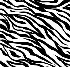 Image result for Zebra Printer Vector
