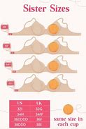 Image result for Cup Size Visual Chart