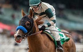 Image result for Horse Race Saturday