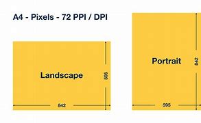 Image result for A4 Paper Size in Pixels