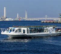 Image result for Yokohama Sea Bass