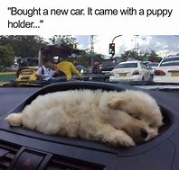 Image result for Funny Baby Animal Memes