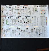 Image result for Touch Chart Base