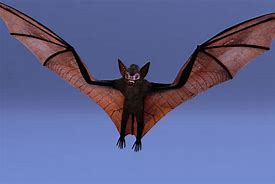 Image result for Giant Bat Miniatures