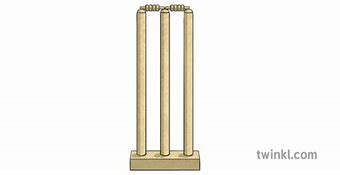 Image result for Wicket Set