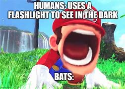 Image result for Bat MEME Funny
