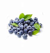 Image result for Vaccinium corymbosum Pioneer