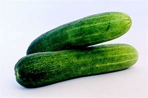 Image result for cucumis