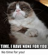 Image result for Grumpy Cat No Meme