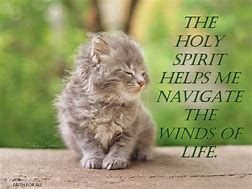 Image result for Cute Cat Sayings