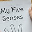 Image result for My 5 Senses Book