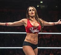 Image result for Nikki Bella WWE Universe