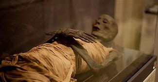 Image result for Photographs of Mummies