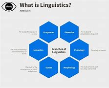 Image result for Linguistics Major