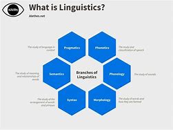 Image result for Branch of Linguistics