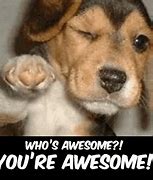 Image result for You're Awesome Dog Meme