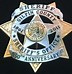 Image result for Custom Sheriff Badges