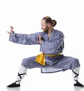Image result for Dragon Style Kung Fu Poses
