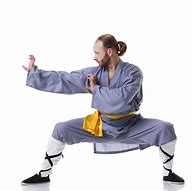 Image result for Passive Aggressive Kung Fu Styles