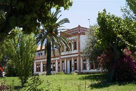 Image result for sericícola