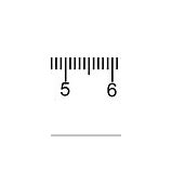 Image result for 8 Inch Ruler Actual Size Image
