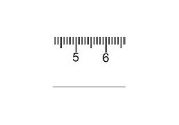 Image result for Inches Actual Size