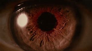 Image result for Special Effects Contact Lenses Mirror