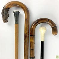 Image result for Equestrian Trophy Walking Stick