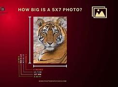 Image result for 5 X 7 in Cm Photo
