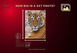 Image result for Actual 5X7 Photo Size