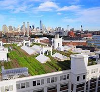Image result for Urban Rooftop