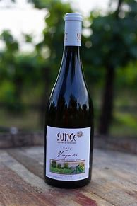 Image result for Sunce Viognier