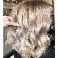 Image result for Champagne Brown Hair Color