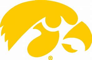 Image result for Sripted Iowa Logo