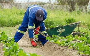 Image result for Protective Gardening Gear