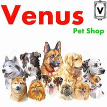 Image result for Venus Pet