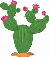 Image result for Cactus Simple Clip Art
