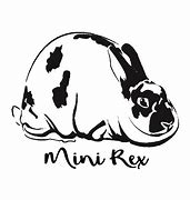 Image result for Rex Rabbit Fur
