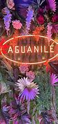 Image result for aguananil