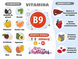 Image result for Funciones De Las Vitaminas