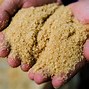 Image result for What Is Crude Sugar