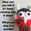 Image result for Funny Articles for Kids