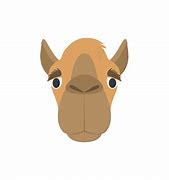 Image result for Cartoon Camel with Eye Lashes