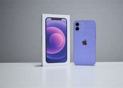 Image result for iPhone 12 Pro Purple