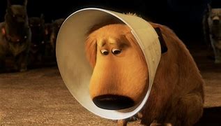 Image result for Movie Up Cone of Shame