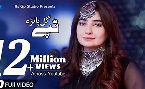 Image result for Gul Panra Family