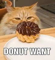 Image result for Fat Donut Meme