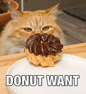 Image result for Donut Meme Work